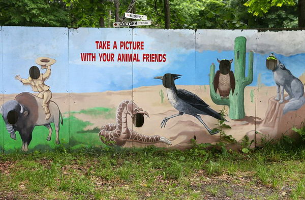 Deer Forest - 2015 Photos From Mlive (newer photo)